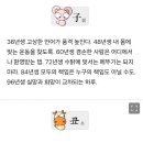 미리보는 띠별 내일의 운세 (10월10) 이미지