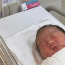 8월 문화가 있는 날 조윤범의 파워클래식 | [둘째맘이 되었어요] 2025년 8월, 자연분만 출산 + 조리원 일기 (feat. 좋은문화병원+조리원)