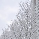 향교공원 이미지