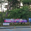하슬라안전 | 강릉 가볼만한곳 하슬라강릉이머시브아트쇼 야간 데이트 코스 추천