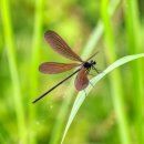 섬진강 트레킹코스 이미지