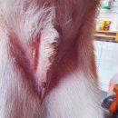 율곡동물병원 이미지