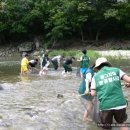 청평초등학교 이미지