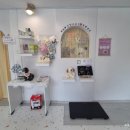 그루미송 이미지