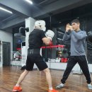 버팔로복싱짐 이미지