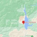 피 엘에이 이미지