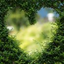 마음든 동물병원 이미지