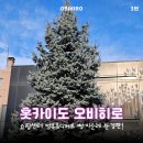 반송자전거도로변 | 오비히로 뚜벅이 여행 완결(쇼핑·미식·빵지순례) 코스