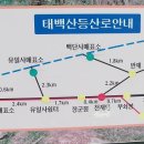 만항등산로입구 네이버블로그