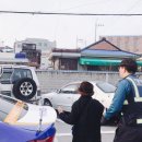 송학사슴농장 이미지