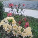 민기농장 이미지