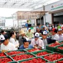 현대공판장 이미지