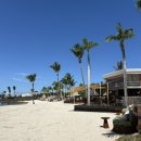 포시즌비치호텔 | 모리셔스 신혼여행]모리셔스 포시즌 리모델링 후 비치뷰/오션뷰 숙박 후기 (장단점, 마사지, 각종꿀팁?)