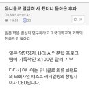 유니클로 열심히 사 줬더니 돌아온 후과 이미지