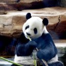 자이언트메디칼 이미지