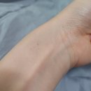 왕십리옥토한의원 | 옥토한의원 분당점 8체질 검사 후기 (내돈내산)