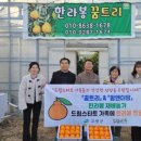 더드림농장 이미지