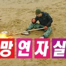 명품 웨딩밴드 까르띠에 러브링 티파니앤코 투게더 밀그레인 비교 후기 (까르띠에 티파니앤코 웨이팅 후기)