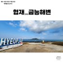 (유)화순콜택시 | 제주 뚜벅이여행 공항에서 금능, 협재해변 해수욕장 버스 102번, 202번 정류장 시간표 (ft. 택시 정액제)