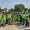 하이농장 이미지