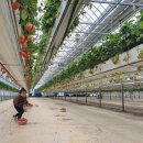 유봉농장 이미지