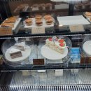 진성애견용품 이미지