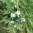 황실목욕장 이미지