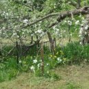 번성농장 이미지