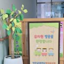 남초병설유치원 이미지