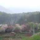 강촌농장 이미지