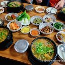 쌍둥이흑염소 티스토리