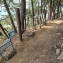 서귀중앙여자중학교 | 제주올레길 6코스 후기 2탄_ 이거 걸었다고 물집이 잡혀?