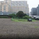 THE M(더엠) 이미지