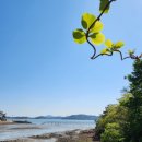 퍼플민박 이미지