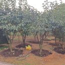 장중은농장 이미지