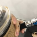 마샬 스탠모어, 데일리룩, 토끼정, 레드핫칠리페퍼스, 우정양곱창, 또 맥주(봉구비어, 구스 312)