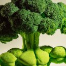 연세마디힘재활의학과의원 이미지