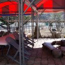 태백장성게스트하우스 이미지