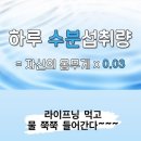 인셀덤스타일