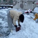 이글루 | 6시간 걸린 눈물나는 이글루 만들기 후기!