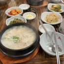 건강보험공단 | 2024 국민건강보험공단 청년인턴 후기 면접부터 최종수료까지