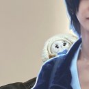 개. 이쁜날 이미지