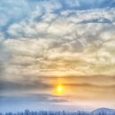 의암호가든 이미지