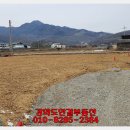 불은면-4 이미지