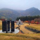 치유와 성찰의 숲 로미지안 가든과 정선 항골 숨바위길 단풍 이미지