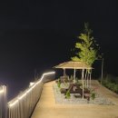 스테이다시올게 이미지