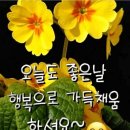 관악정육점 이미지