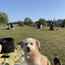 댕굴 댕굴 이미지