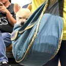 잠이솔솔 이미지