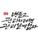크린톡효소 네이버블로그